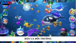 Bắn Cá Đổi Thưởng