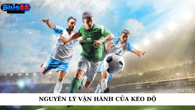 Nguyên lý vận hành của kèo độ